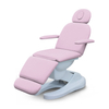 Camilla de masaje ajustable eléctrica de lujo rosa Spa Cama facial